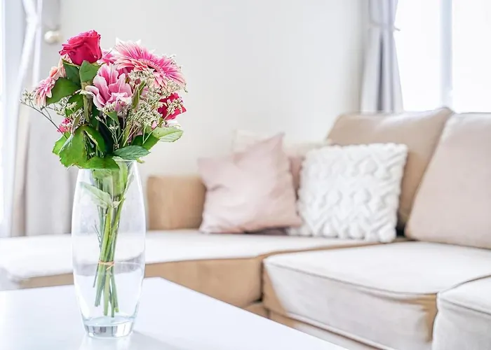 Quartier Des Ternes - Le Reveur - 137mc Bis *